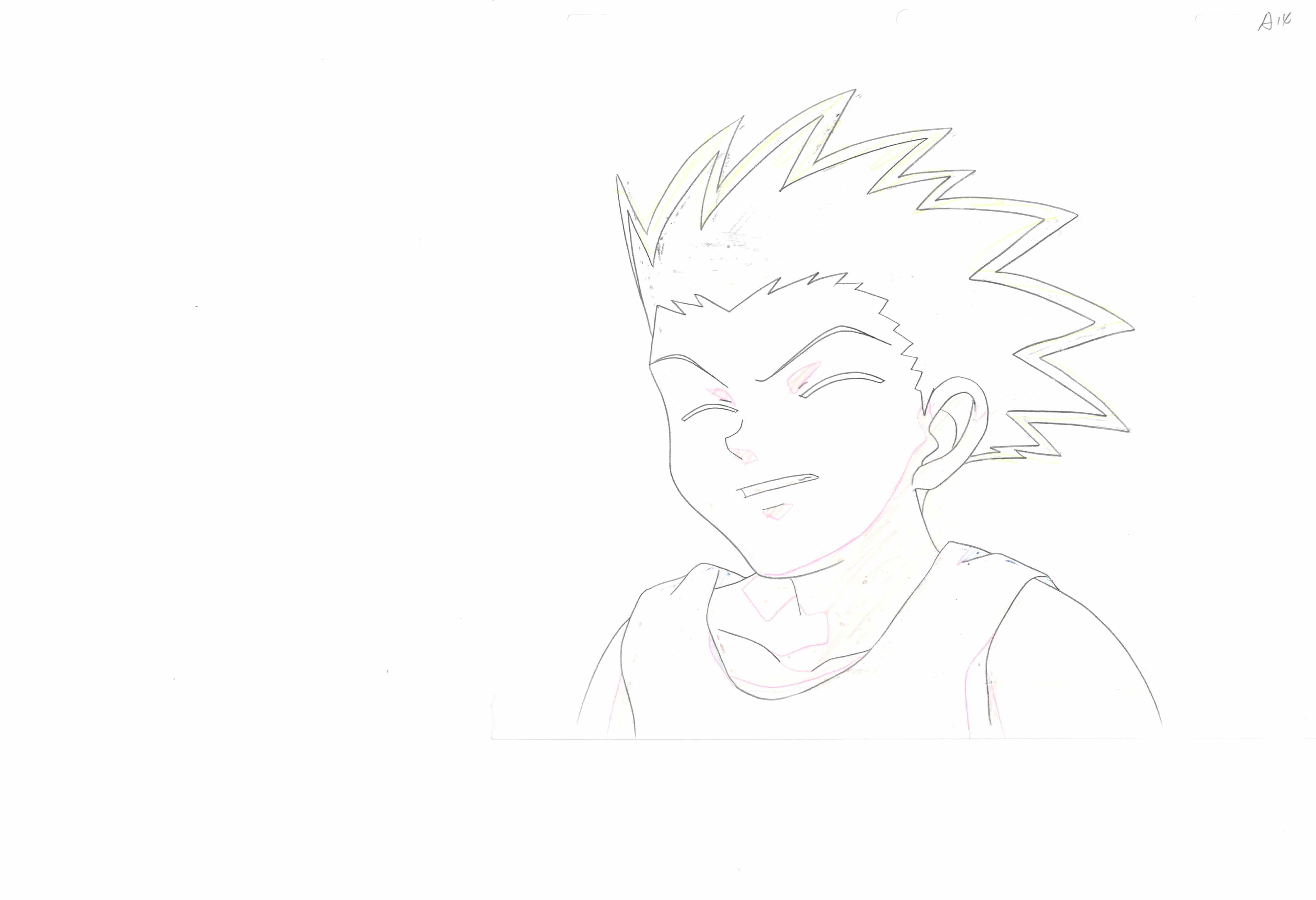 全职猎人 原画集和草图（小杰和奇犽）