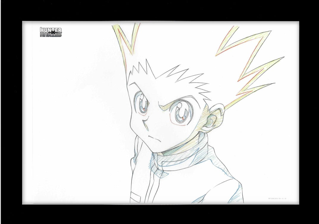 Hunter x Hunter Collection – Japanime Art Gallery
