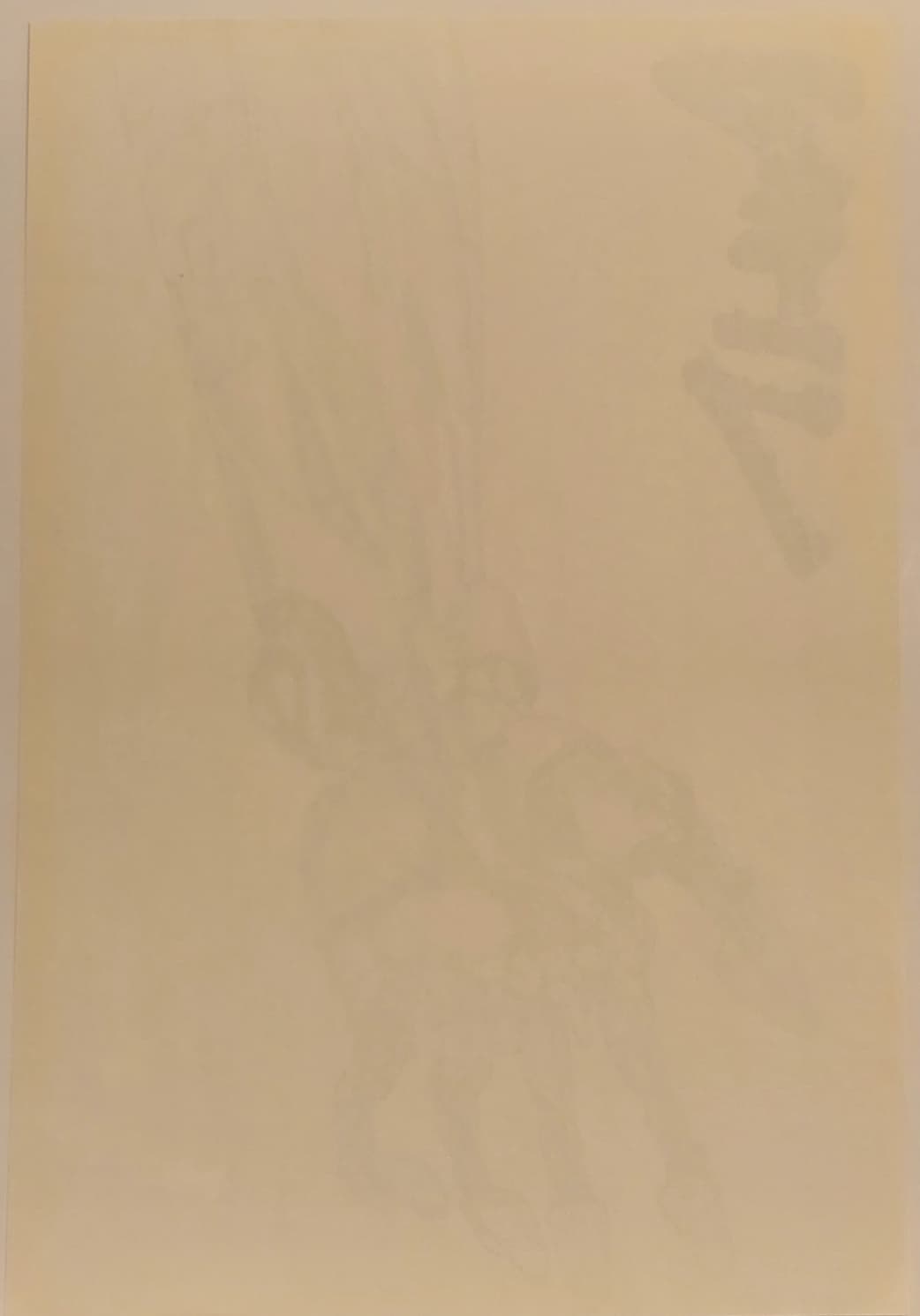 Akira Limited Poster