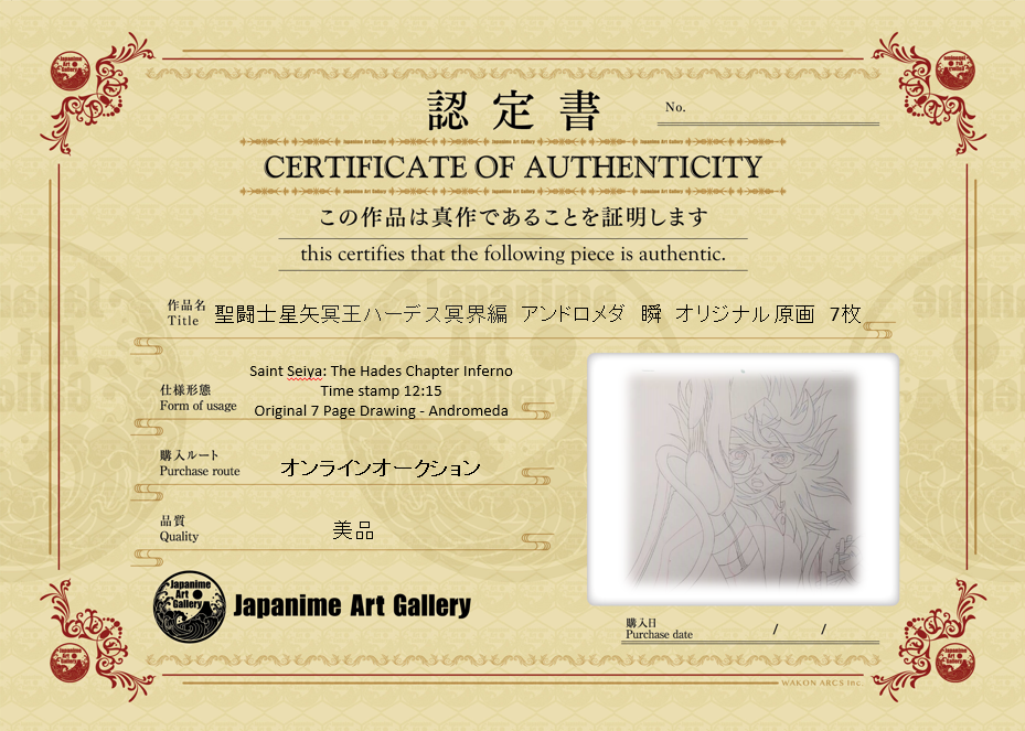 Saint Seiya (Knights of the Zodiac) Original Sketch (Andromeda Shun)