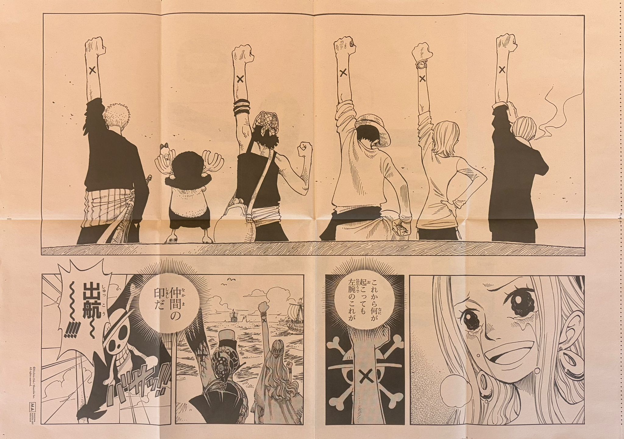 One Piece Limited Manga Panel Poster (Straw Hat Crew & Vivi)