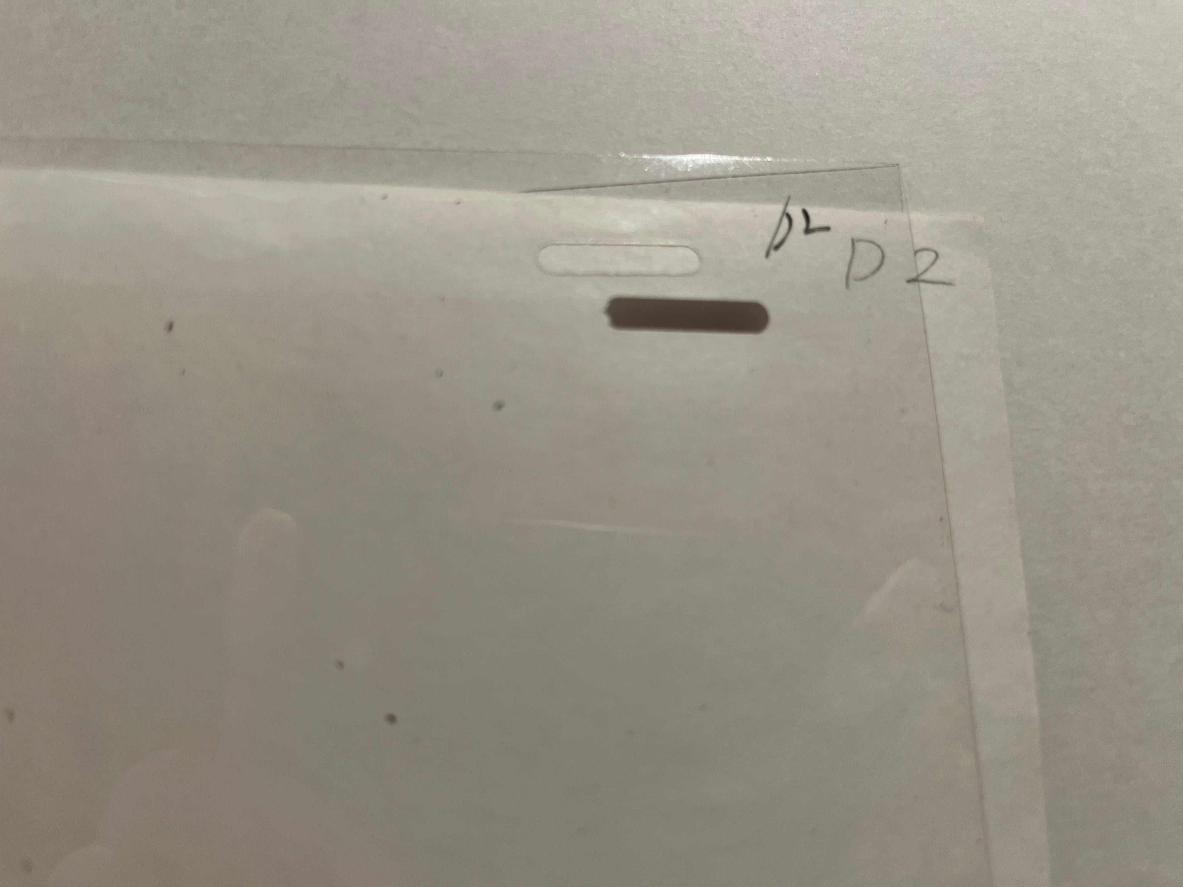 Hajime No Ippo Original Cels and Sketch (Hajime)