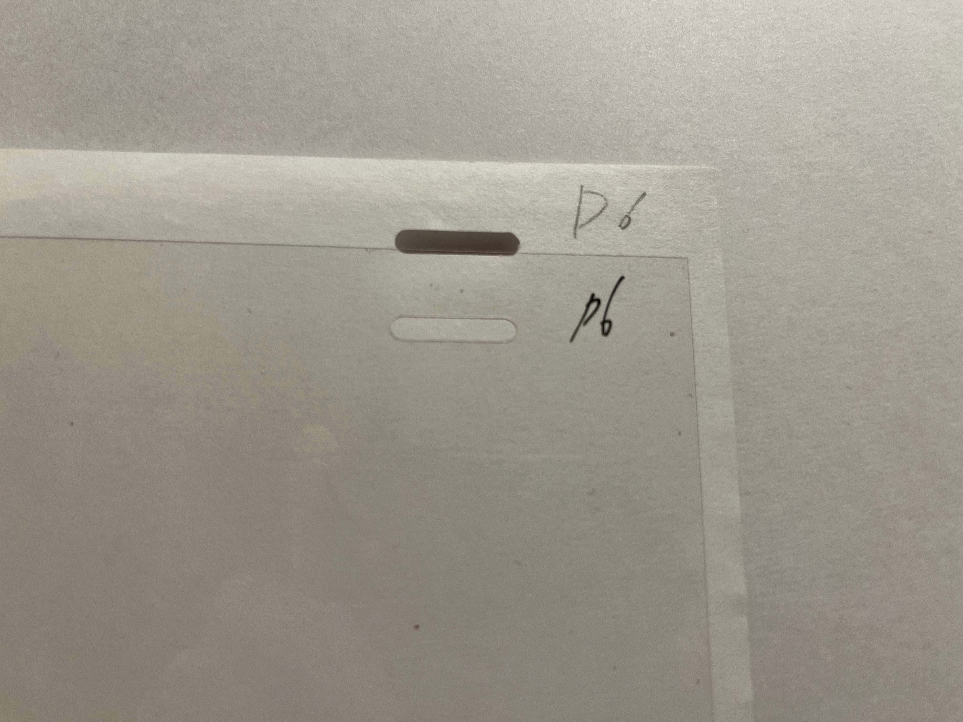 Hajime No Ippo Original Cels and Sketch (Hajime)