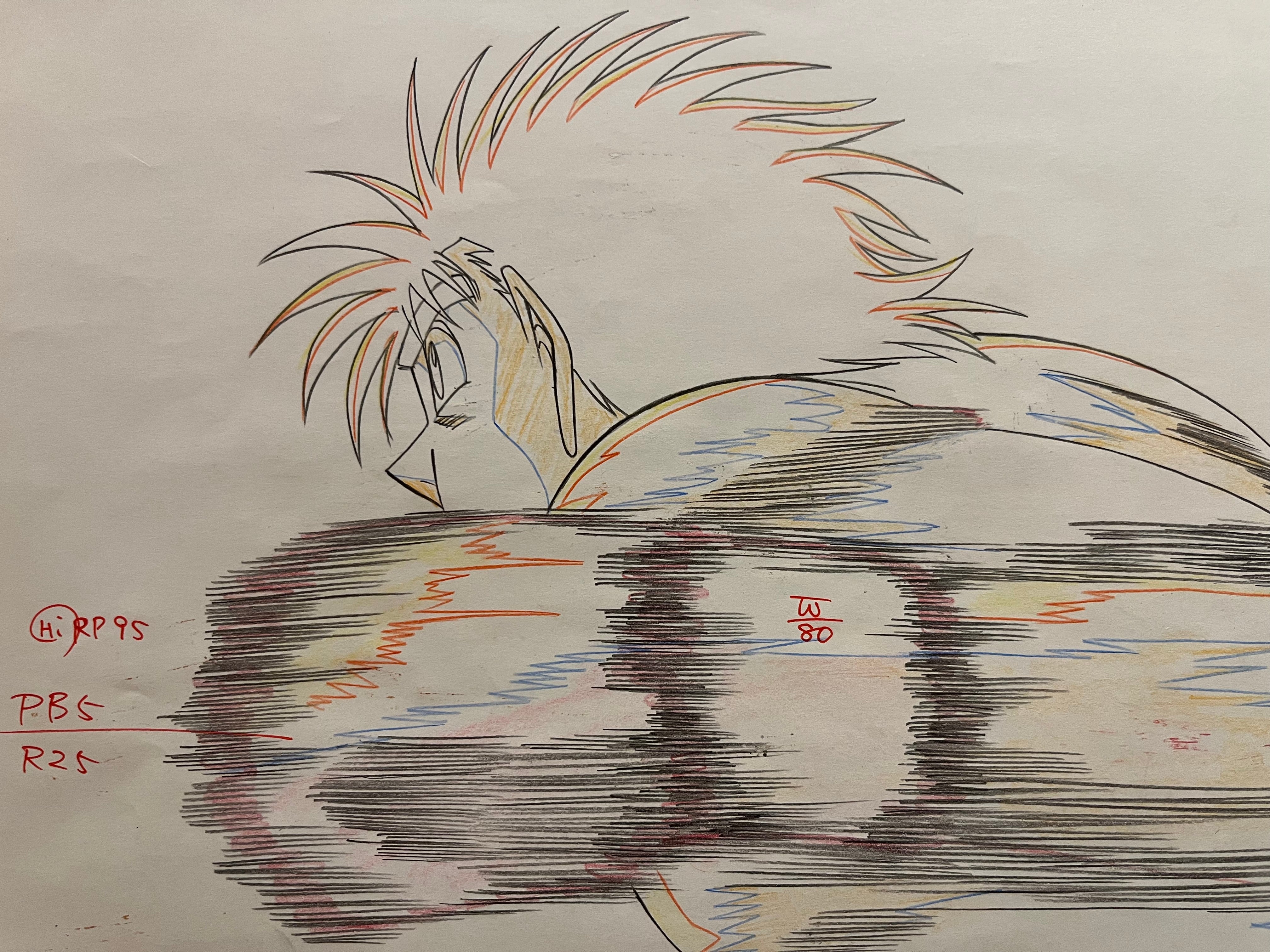 Hajime No Ippo Original Cels and Sketch (Hajime)