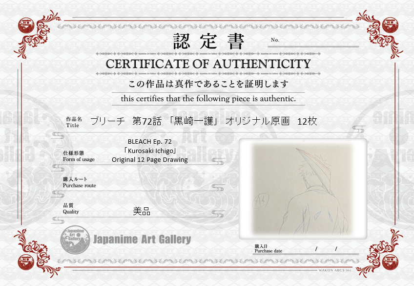 Dibujo original de Bleach, 12 páginas (Kurosaki Ichigo)
