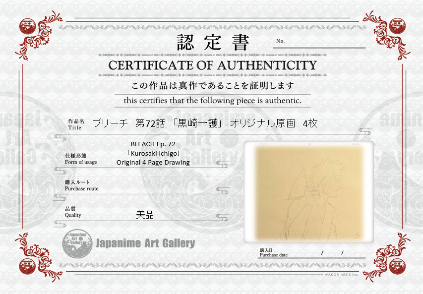 Dibujo original de Bleach, 4 páginas (Kurosaki Ichigo)