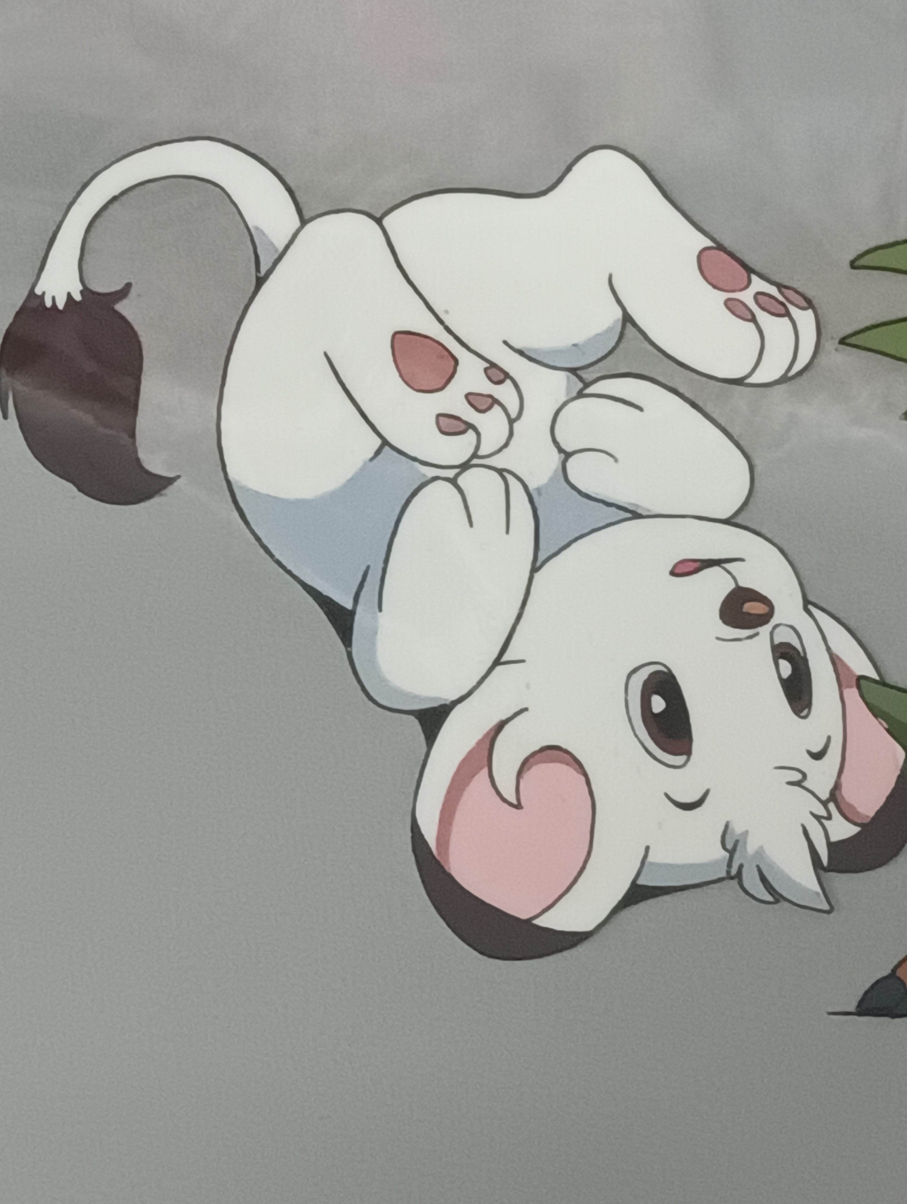 狮子利奥（白狮金巴）原画和素描