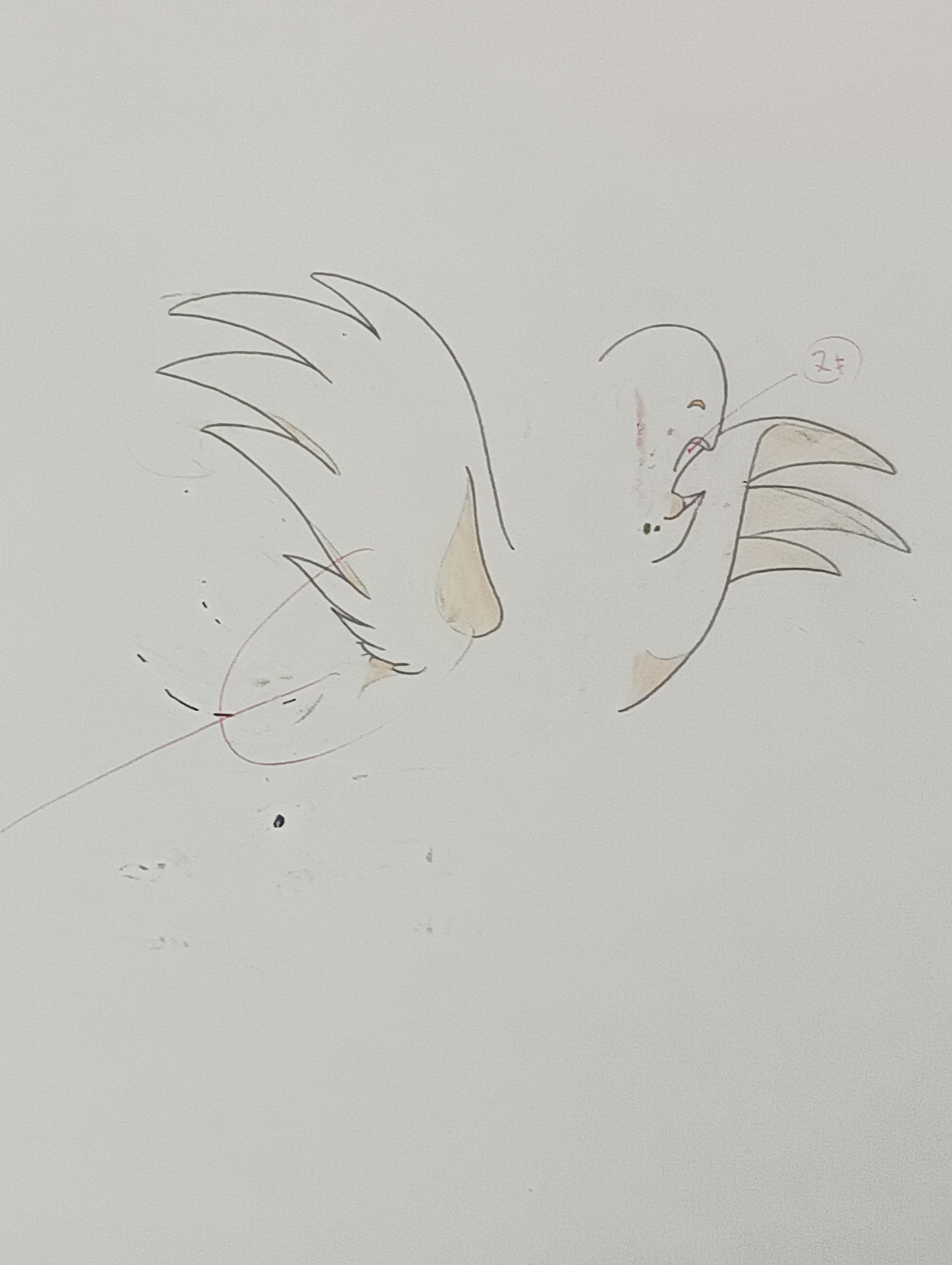 狮子利奥（白狮金巴）原画和素描