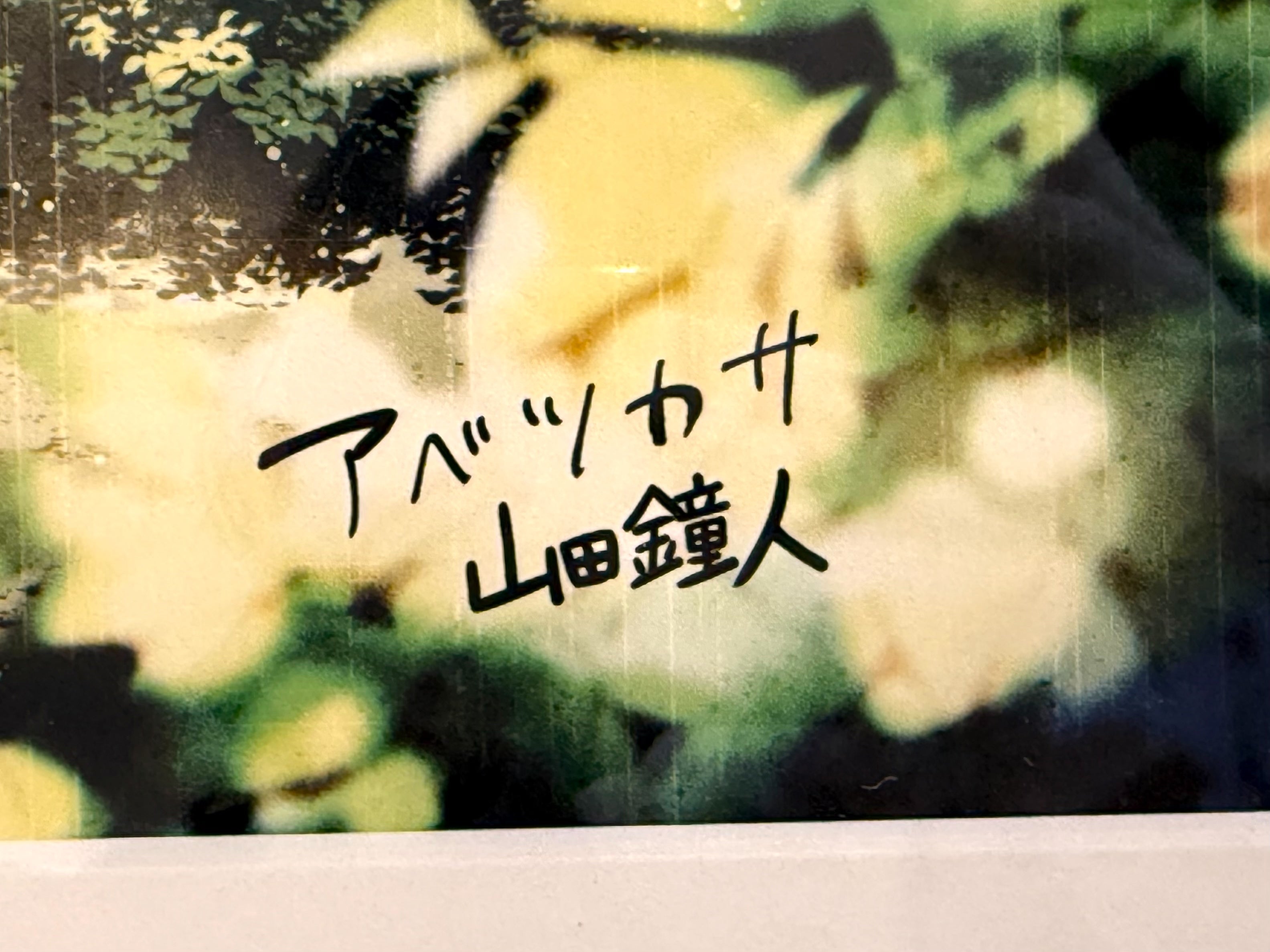 葬送的芙莉莲 ​​限量复制原画