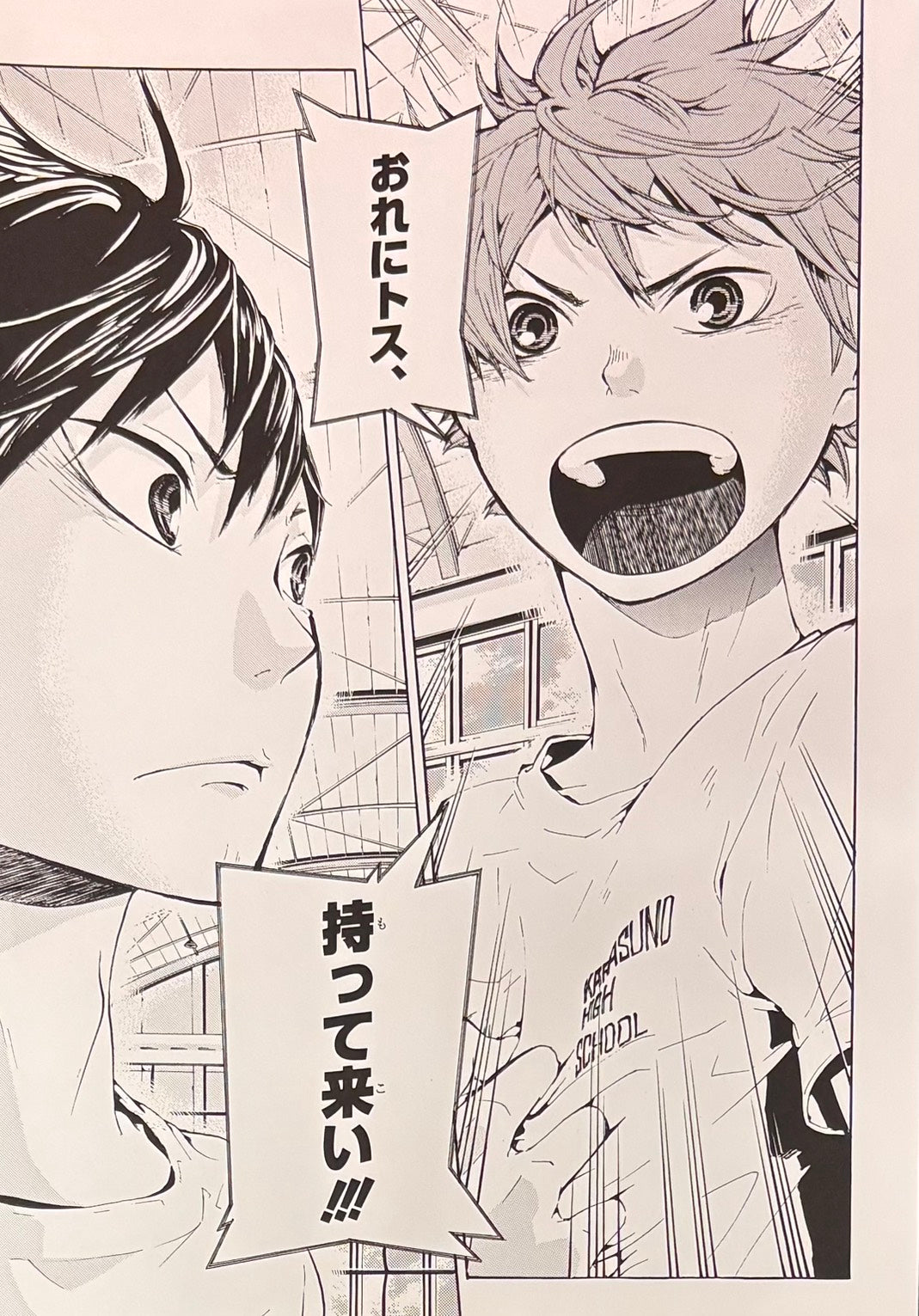 Haikyuu Limited Reproduction (Hinata & Kageyama)
