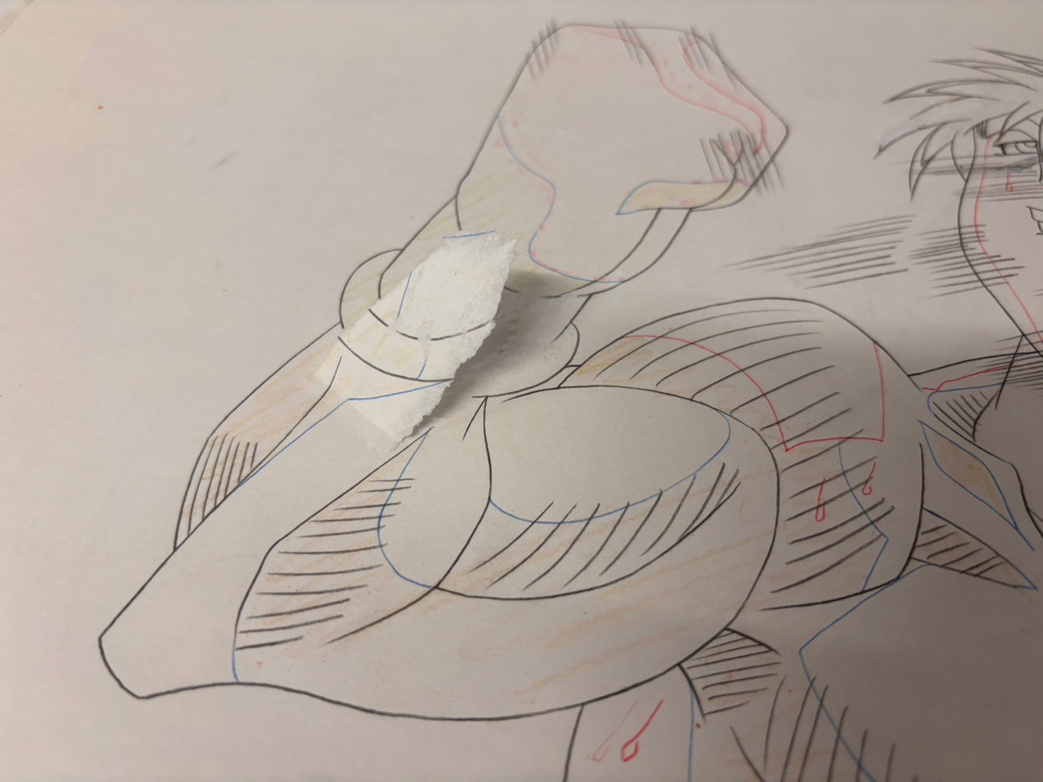 Hajime No Ippo Original Cel and Sketch (Ippo Makunouchi)