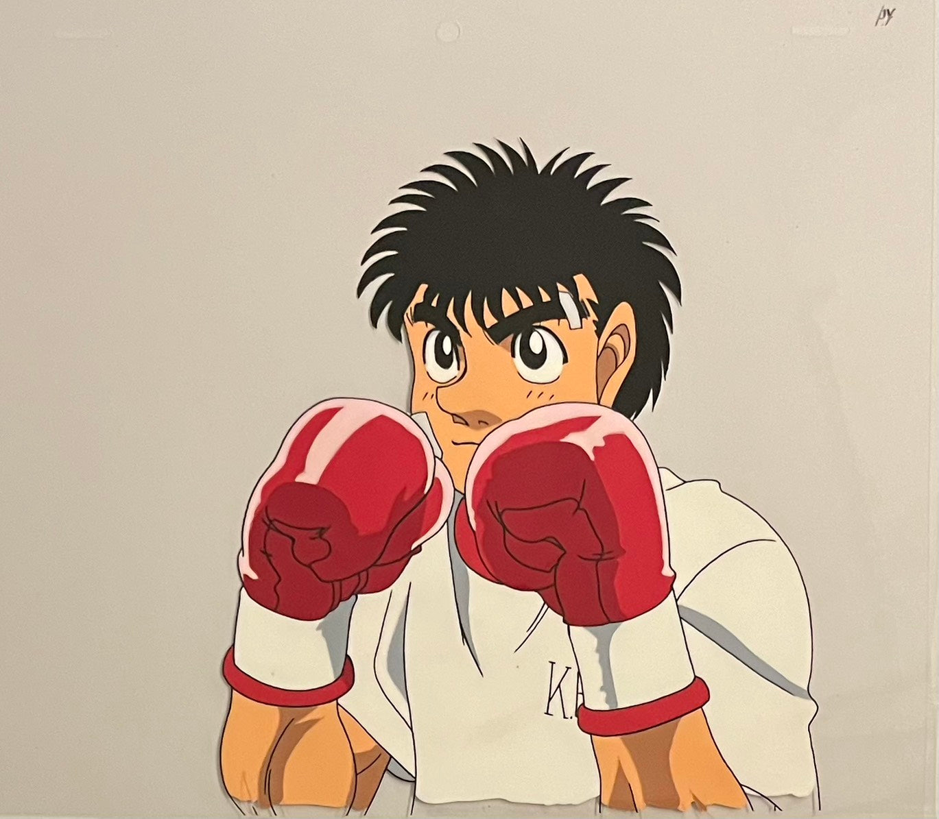 Hajime No Ippo Original Cels and Sketch (Ippo Makunouchi)