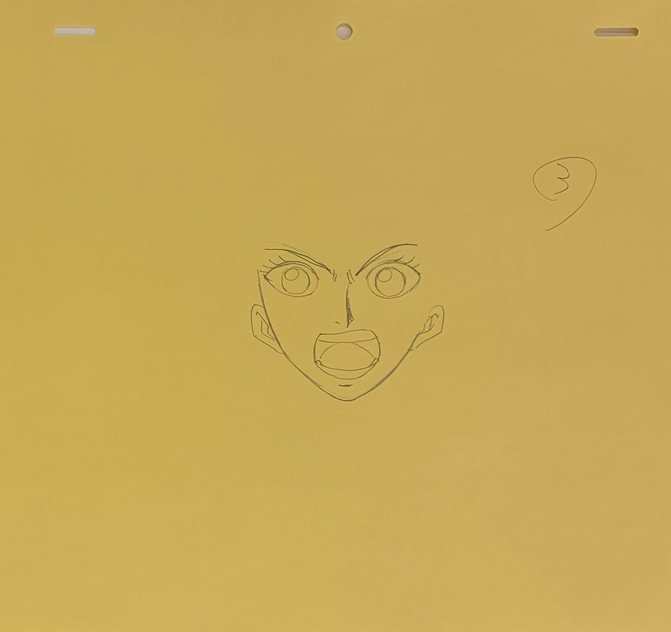 One Piece Original 5 Page Drawing (Vivi)