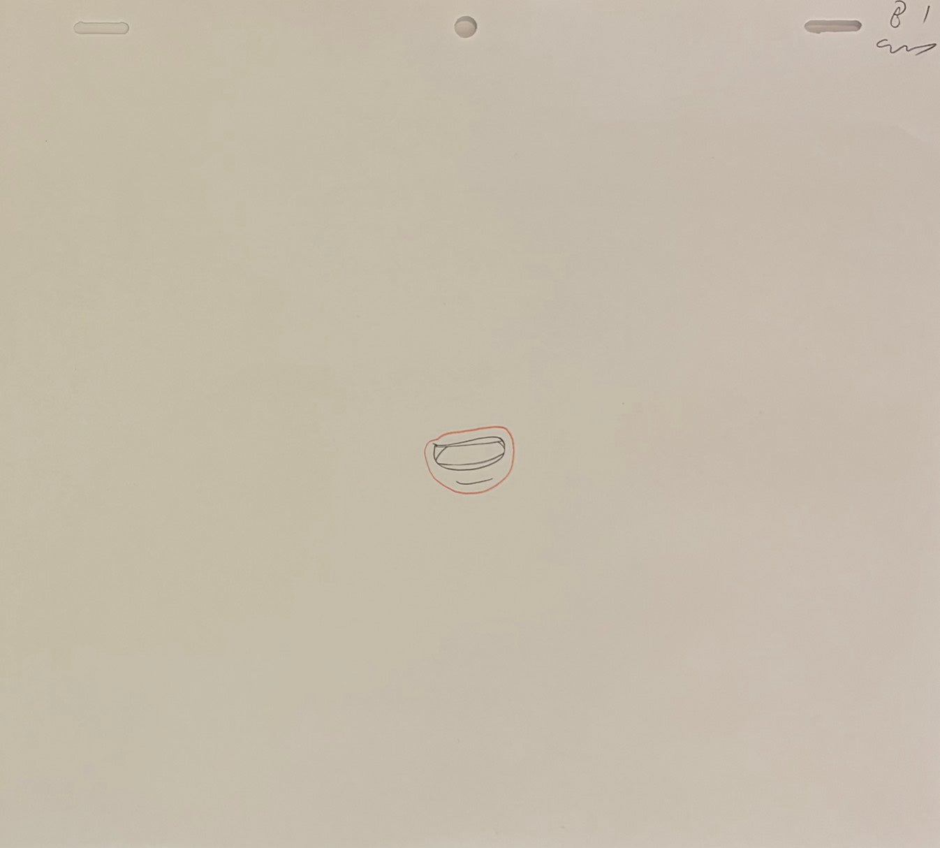 One Piece Original 5 Page Drawing (Vivi)