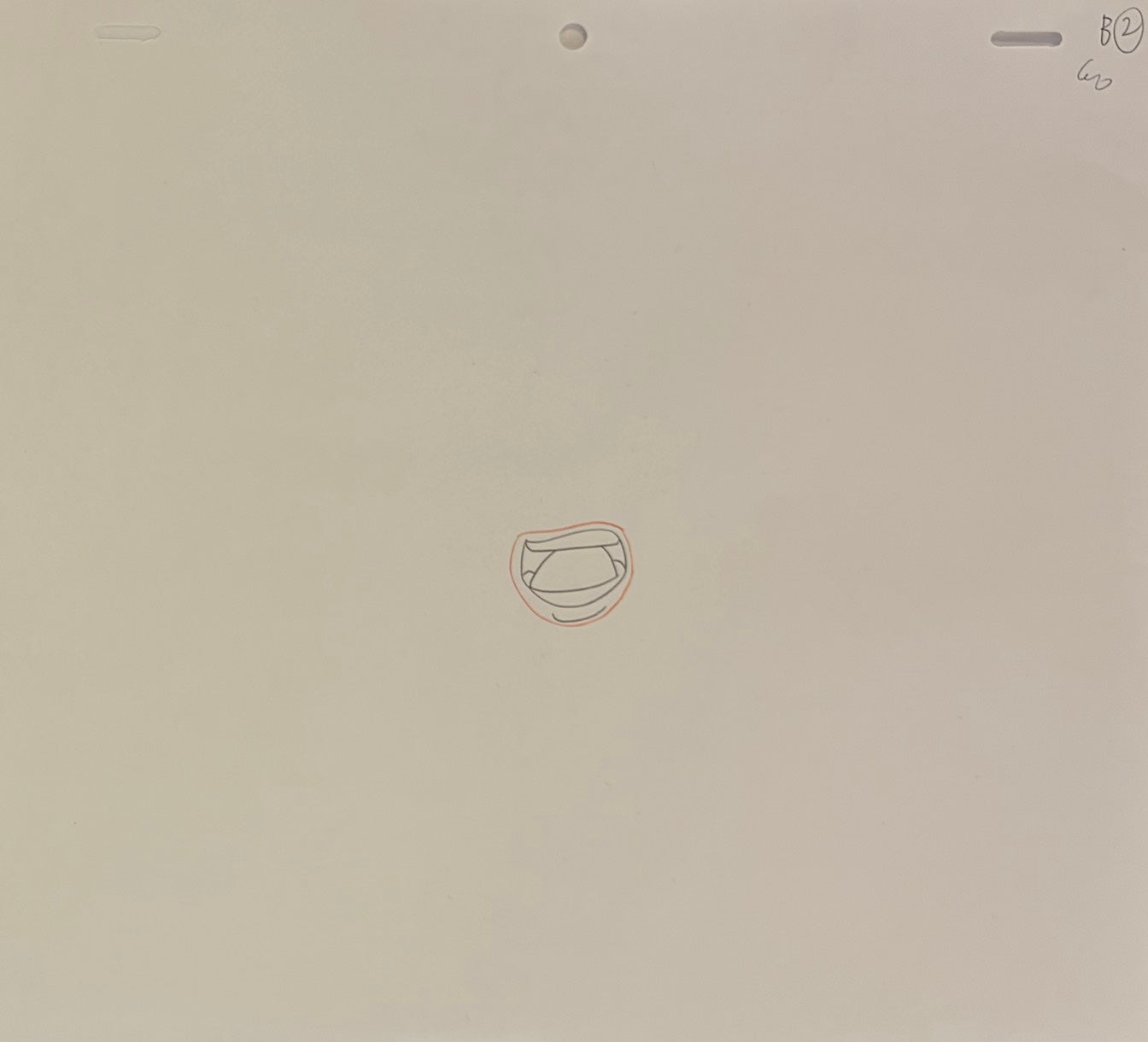 One Piece Original 5 Page Drawing (Vivi)