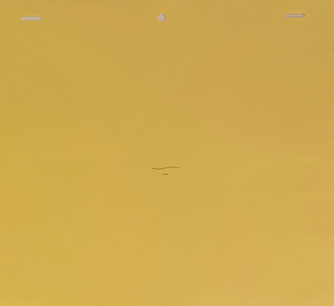 One Piece Original 4 Page Drawing (Vivi)