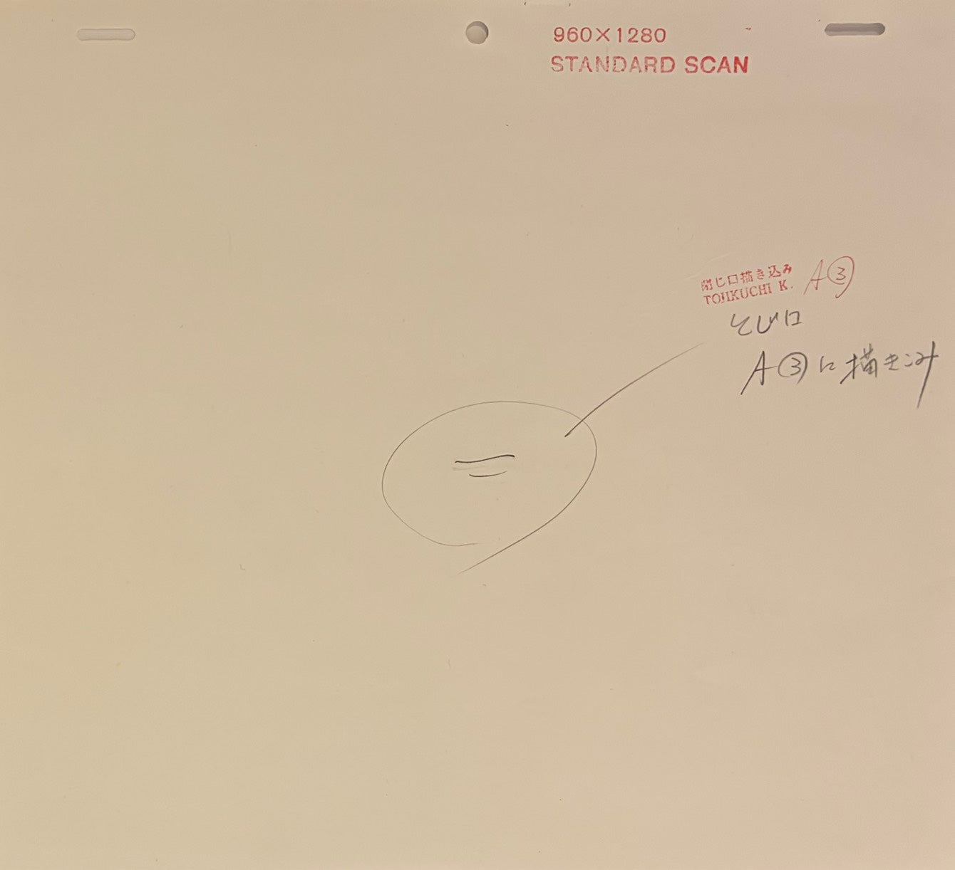 One Piece Original 4 Page Drawing (Vivi)