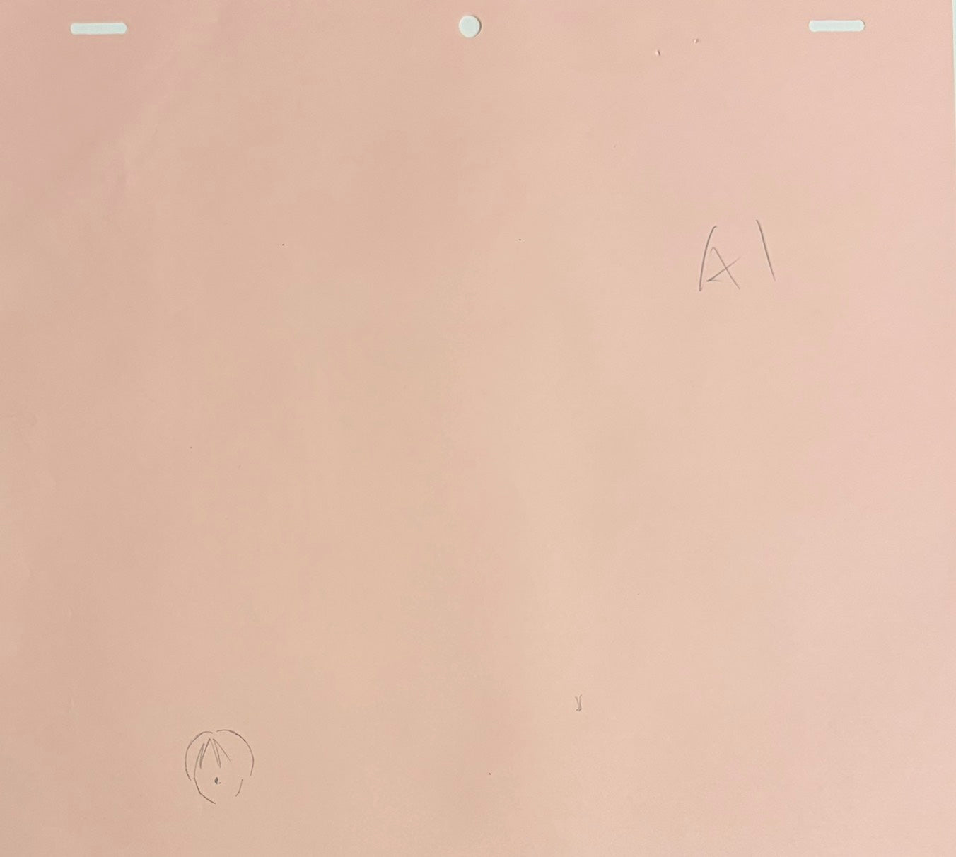 One Piece Original Sketch (Robin & Nami)