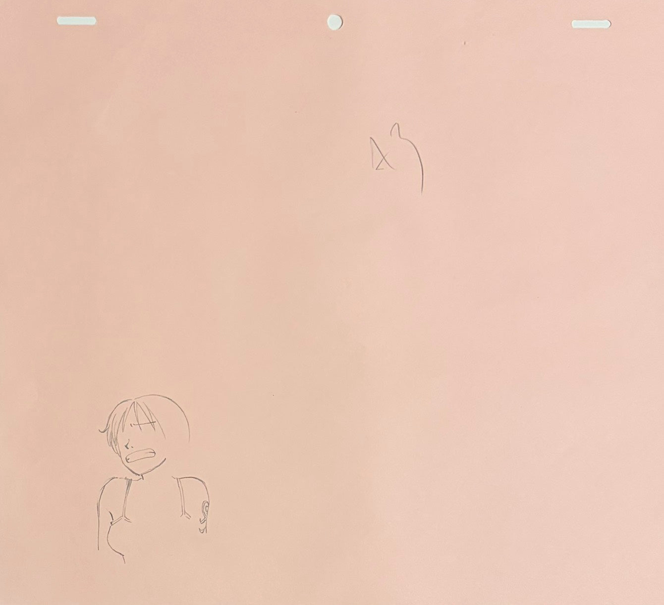 One Piece Original Sketch (Robin & Nami)