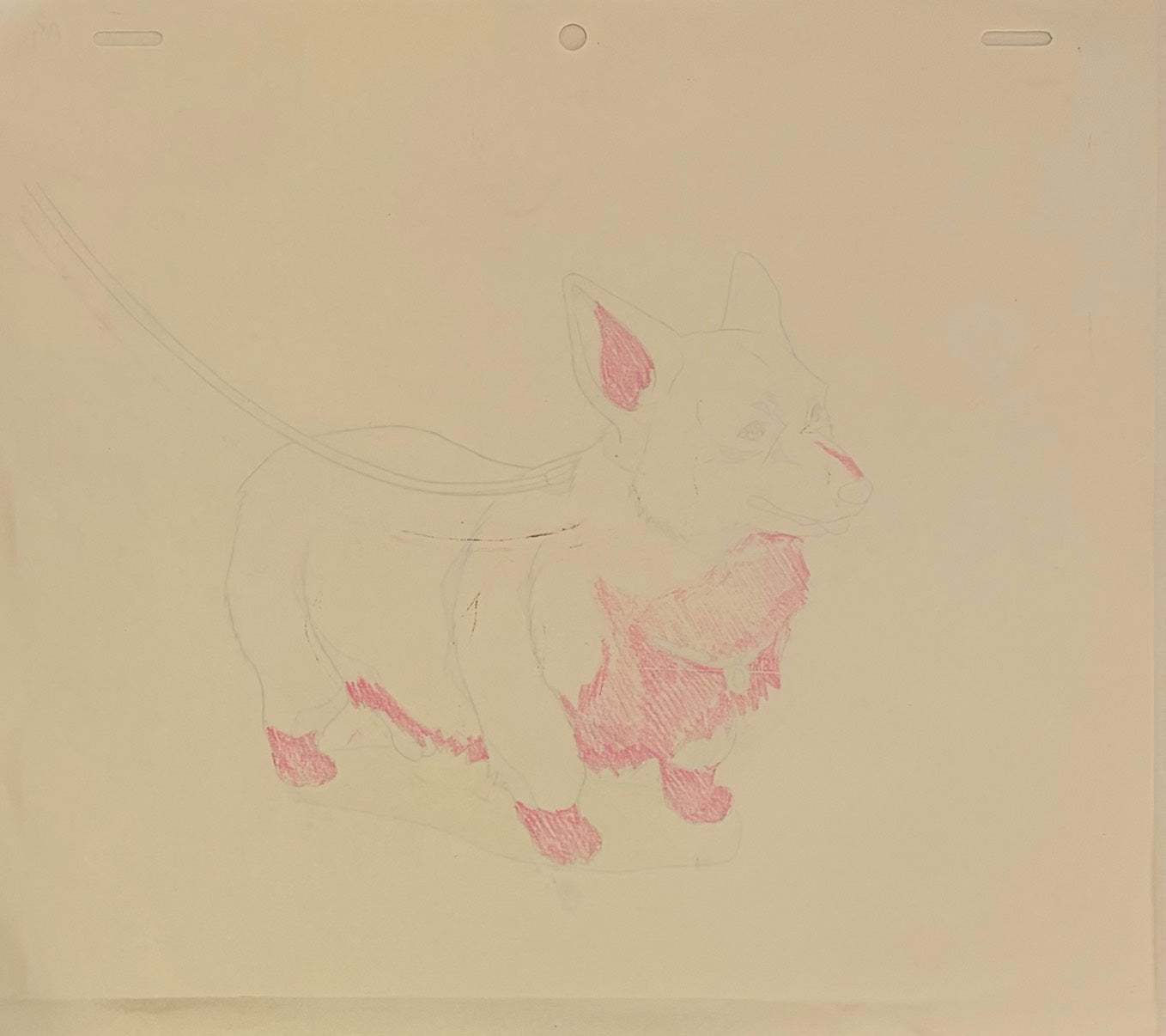 Cowboy Bebop Original Drawing (Ein)