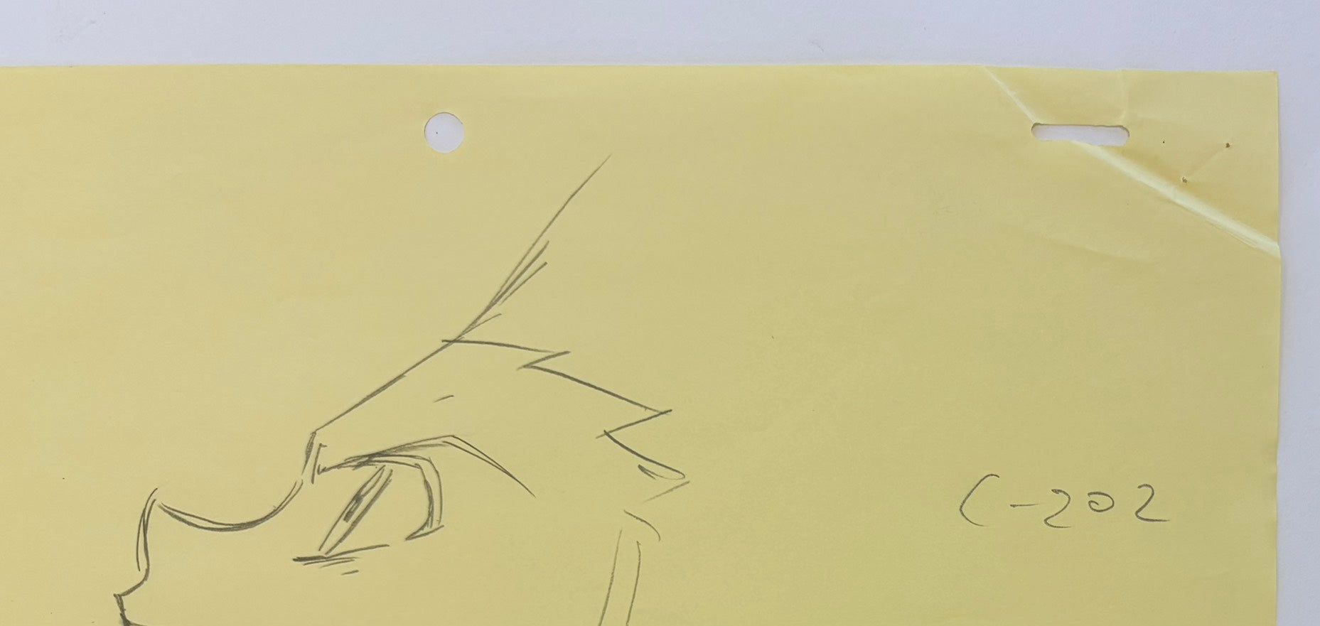 Hunter x Hunter (1999 Series) Original Layout & Genga (Gon Freecss) 2-Piece Set