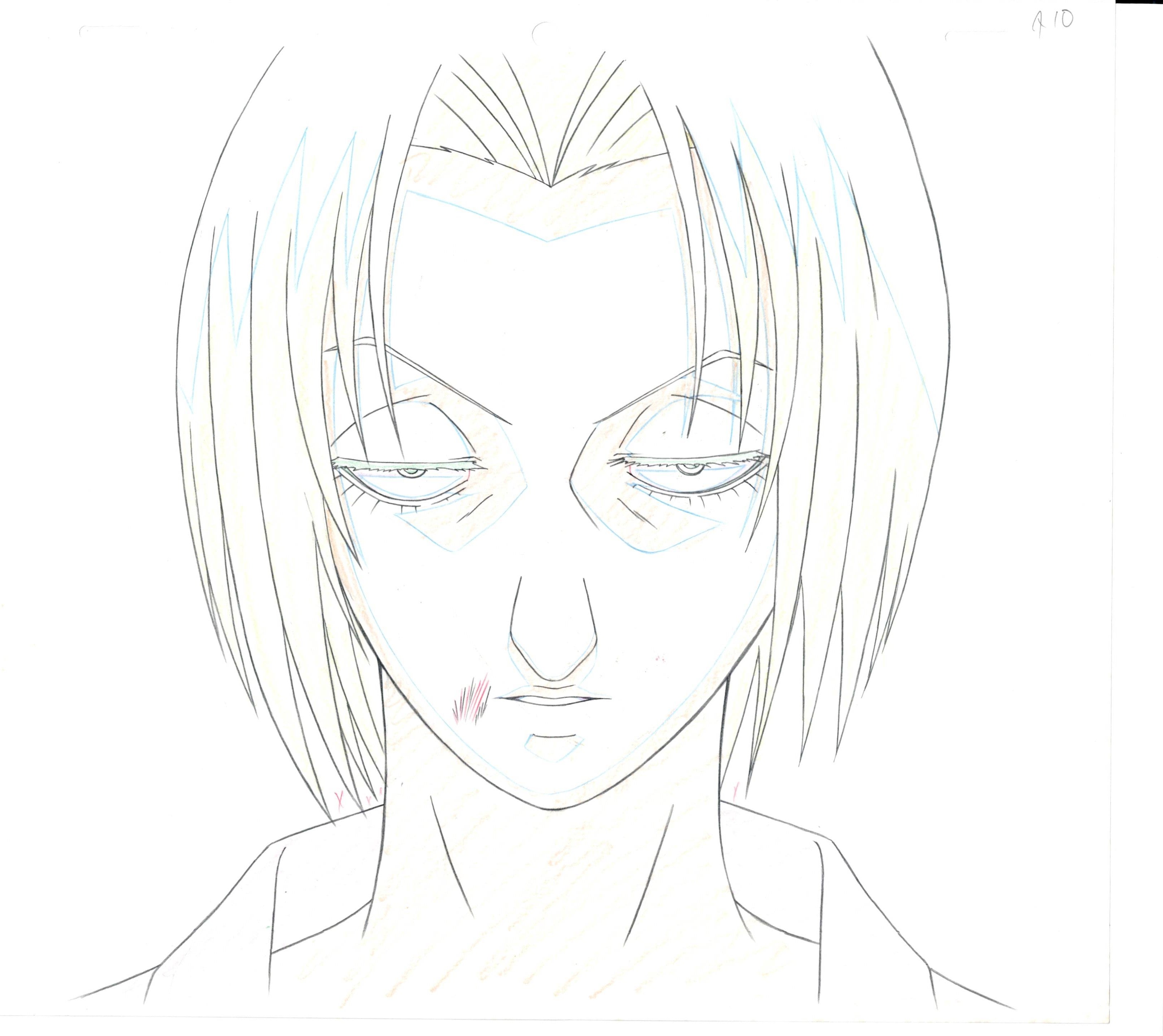 Hunter x Hunter Original Cel & Drawing (Pakunoda)