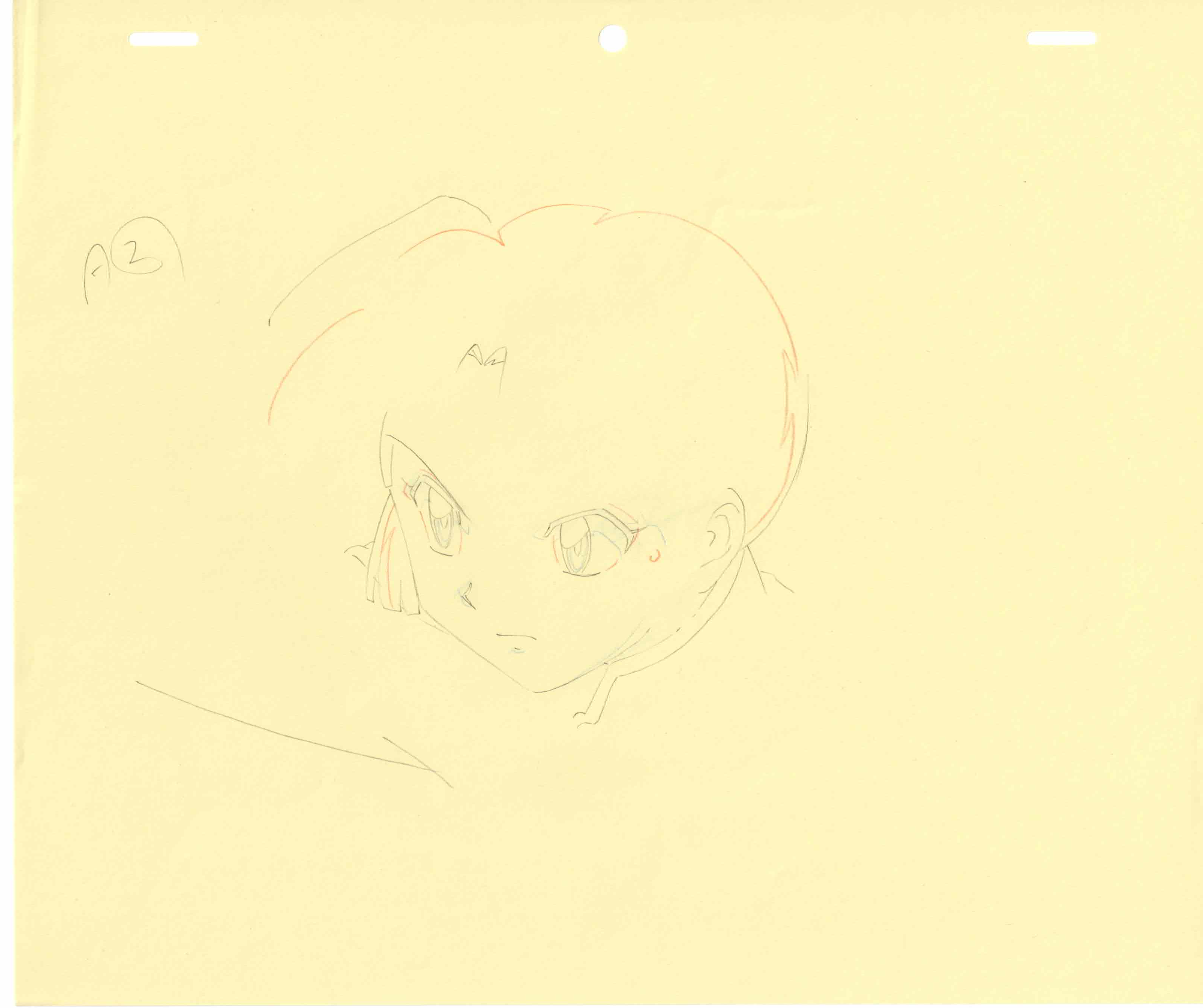 Inuyasha Original Sketch (Sango)