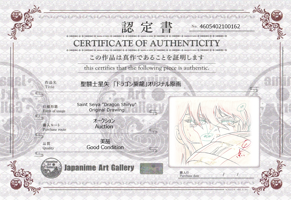 Saint Seiya Original Drawing (Dragon Shiryu)