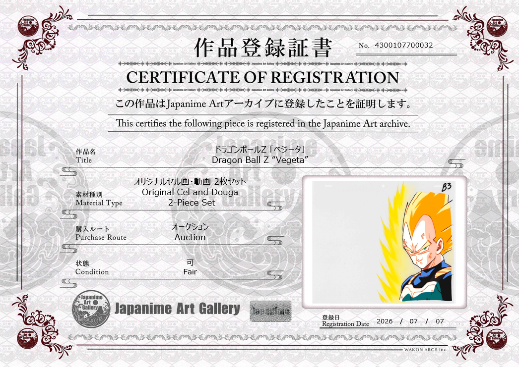 Cella originale e douga di Dragon Ball Z (Vegeta) set di 2 pezzi