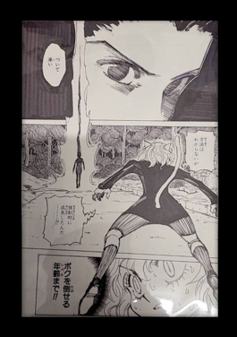 Hunter x Hunter Limited Reproduction (Gon Vs. Neferpitou)