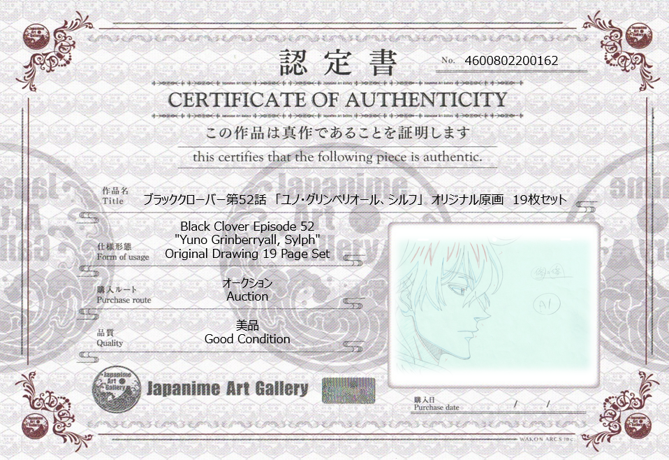 Black Clover Original Sketch (Yuno Grinberryall, Sylph) 19 Page Set
