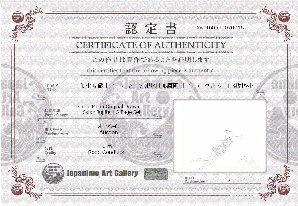 Sailor Moon Original Sketch (Sailor Jupiter)