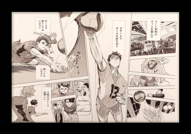 Haikyuu Limited Reproduction (Toru Oikawa & others)