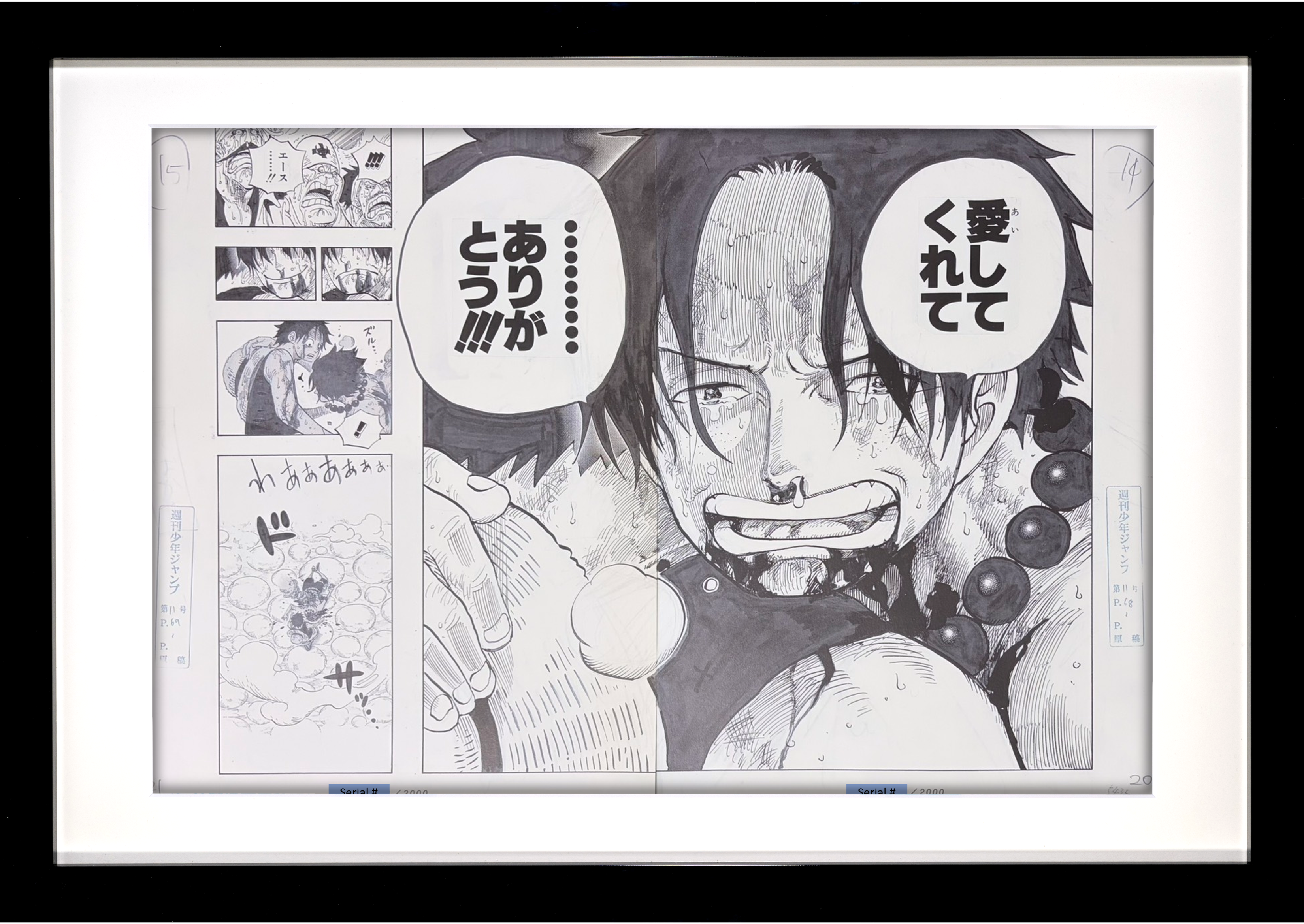 One Piece Numbered Limited Lottery Prize Reproduction (Ace & Luffy)