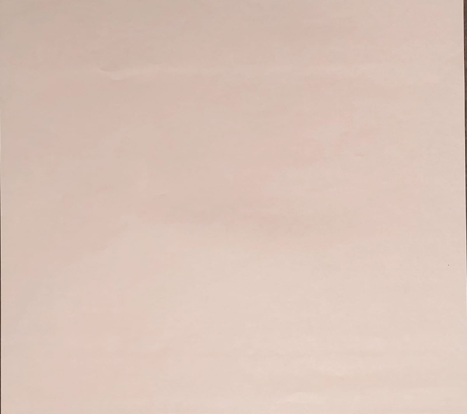 Cowboy Bebop Original Sketch (Vicious)