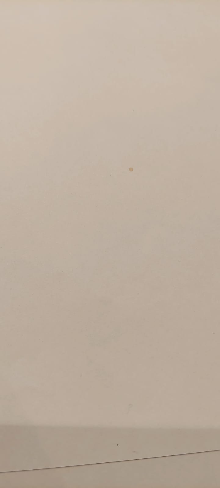 Kingdom Original Sketch (Shin)