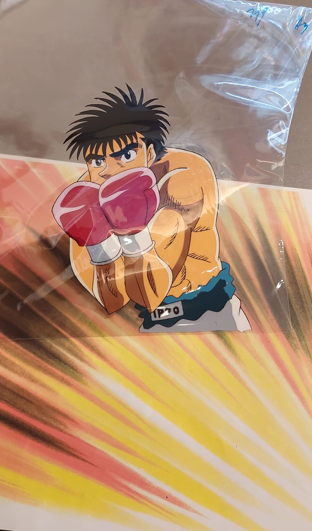 Hajime No Ippo Original Cels and Sketch (Ippo Makunouchi)