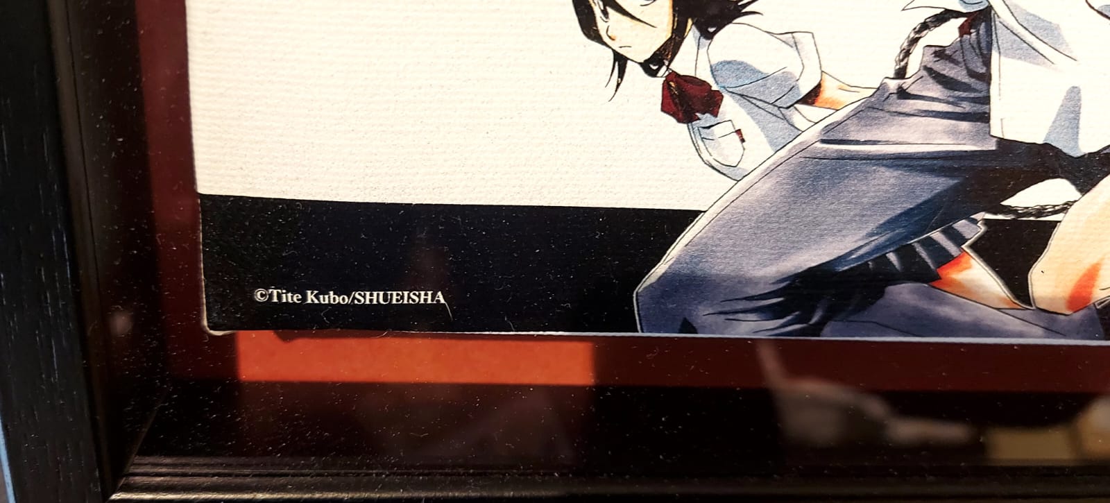 Impresión en lienzo limitada de Bleach