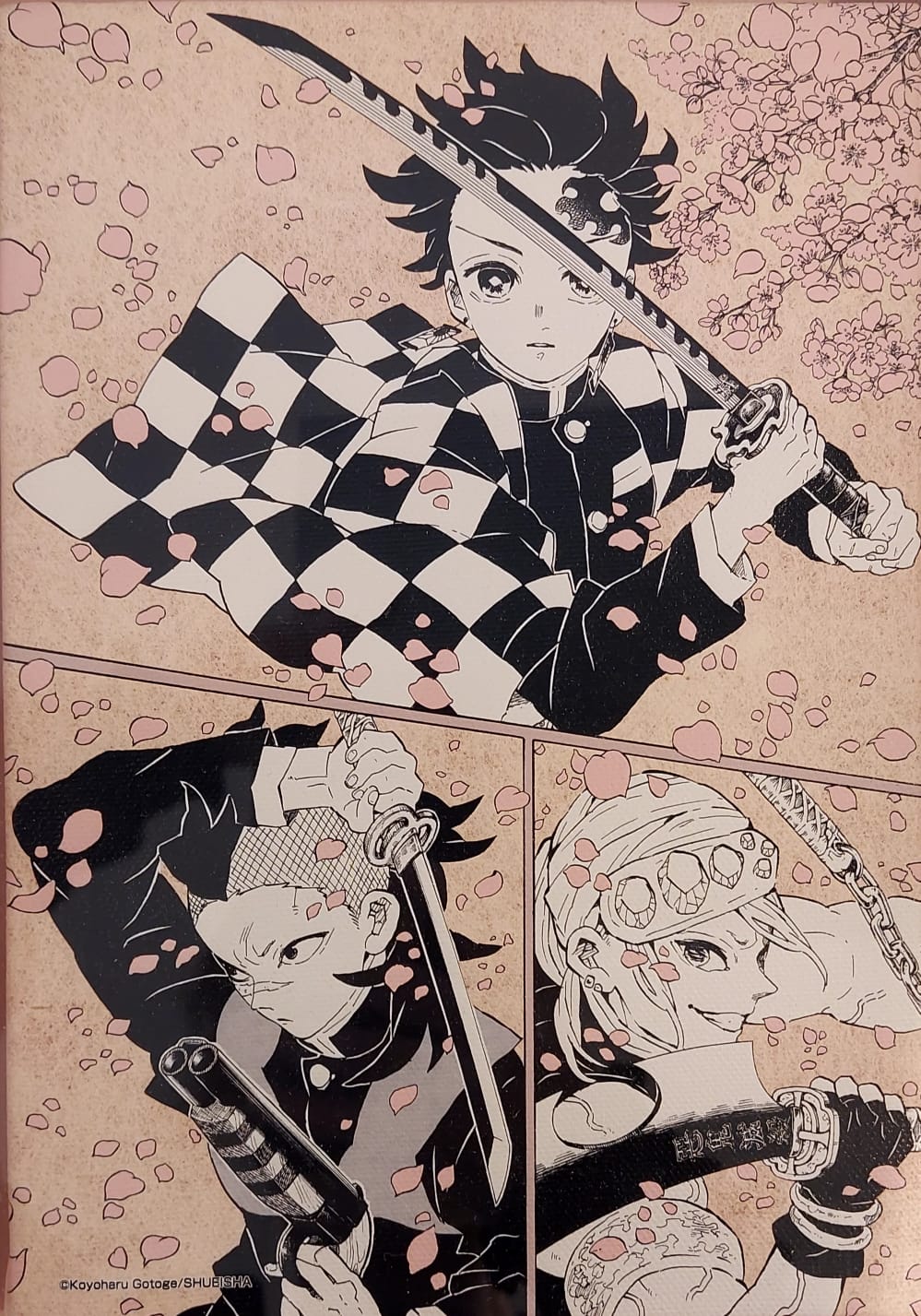 Demon Slayer Limited Canvas Print