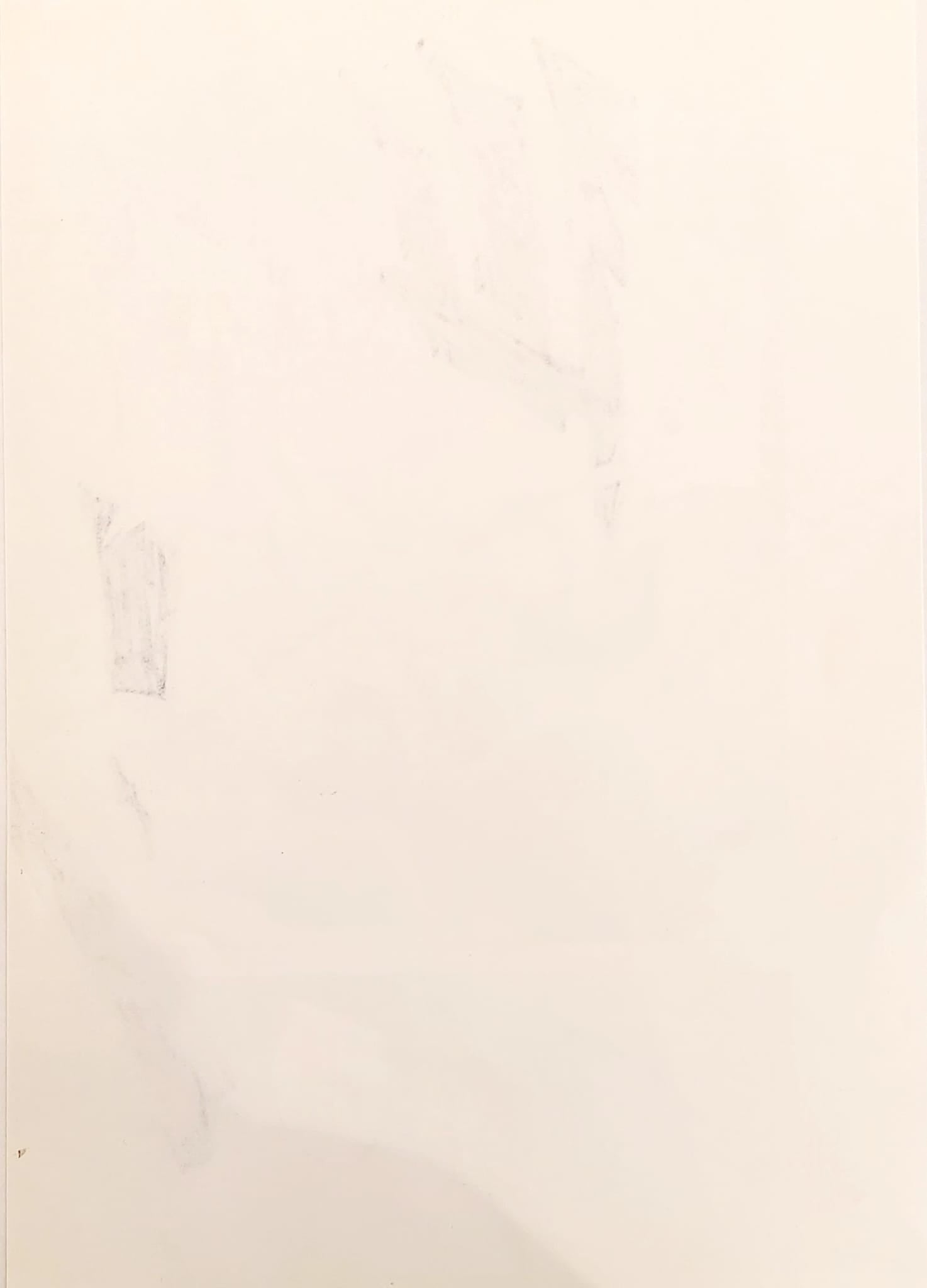 BLEACH Limited Reproduction (Toshiro Hitsugaya & Gin Ichimaru)