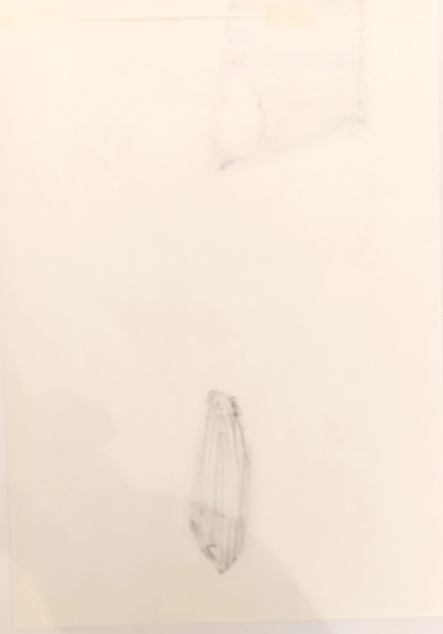 BLEACH Limited Reproduction (Toshiro Hitsugaya & Gin Ichimaru)