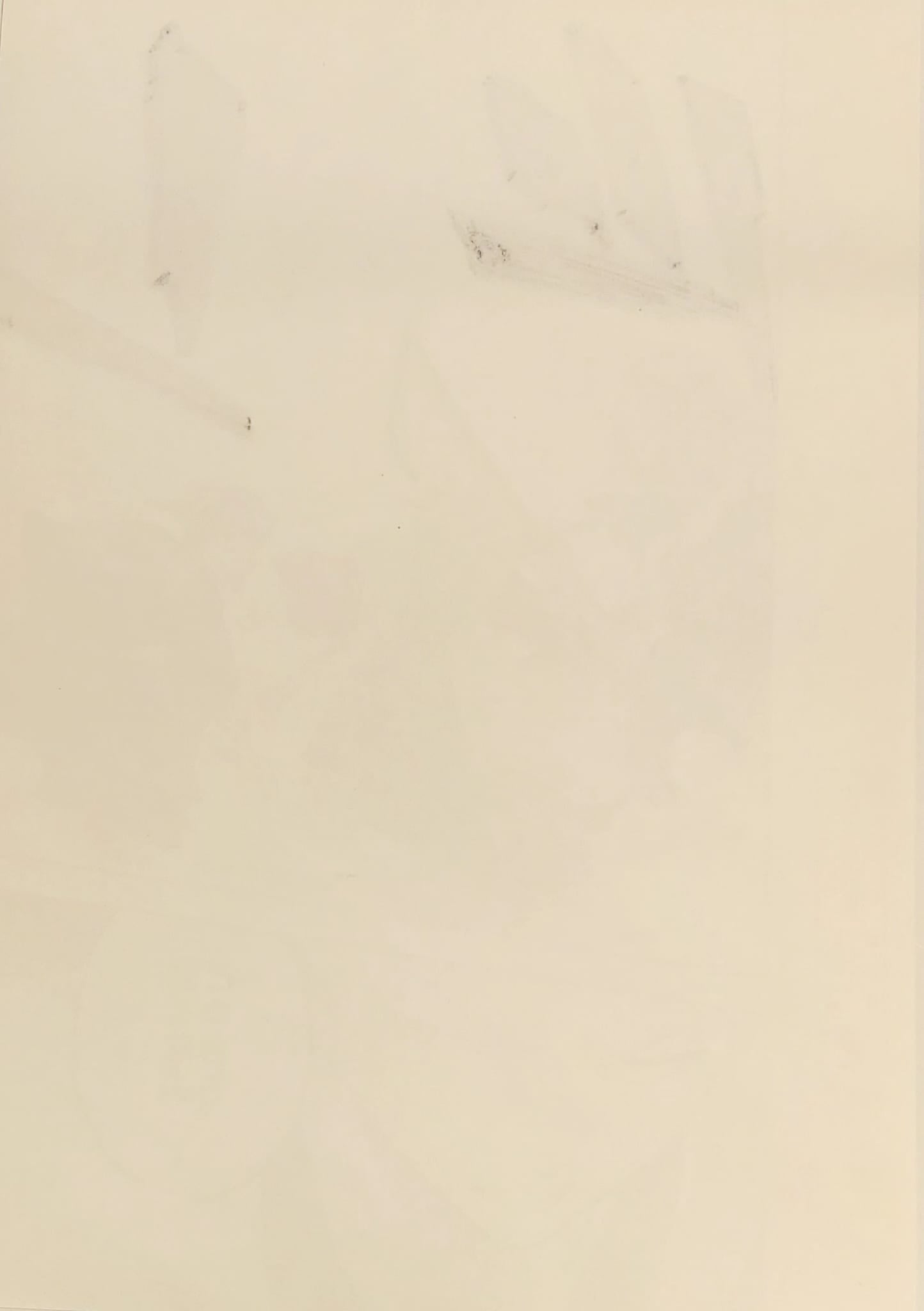 BLEACH Limited Reproduction (Toshiro Hitsugaya)