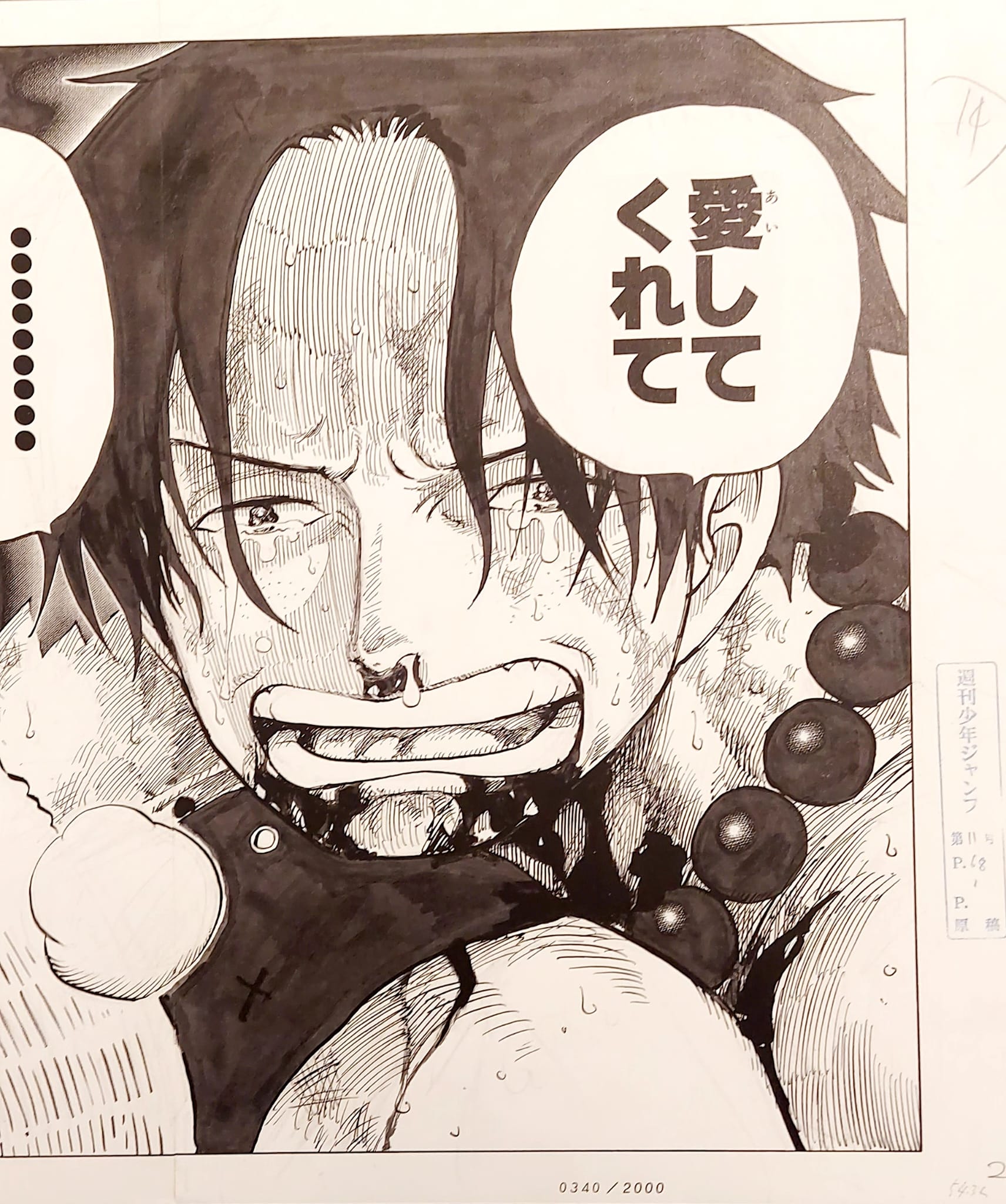 ONE PIECE Numbered Lottery Won Limited Reproduction (Ace Death)