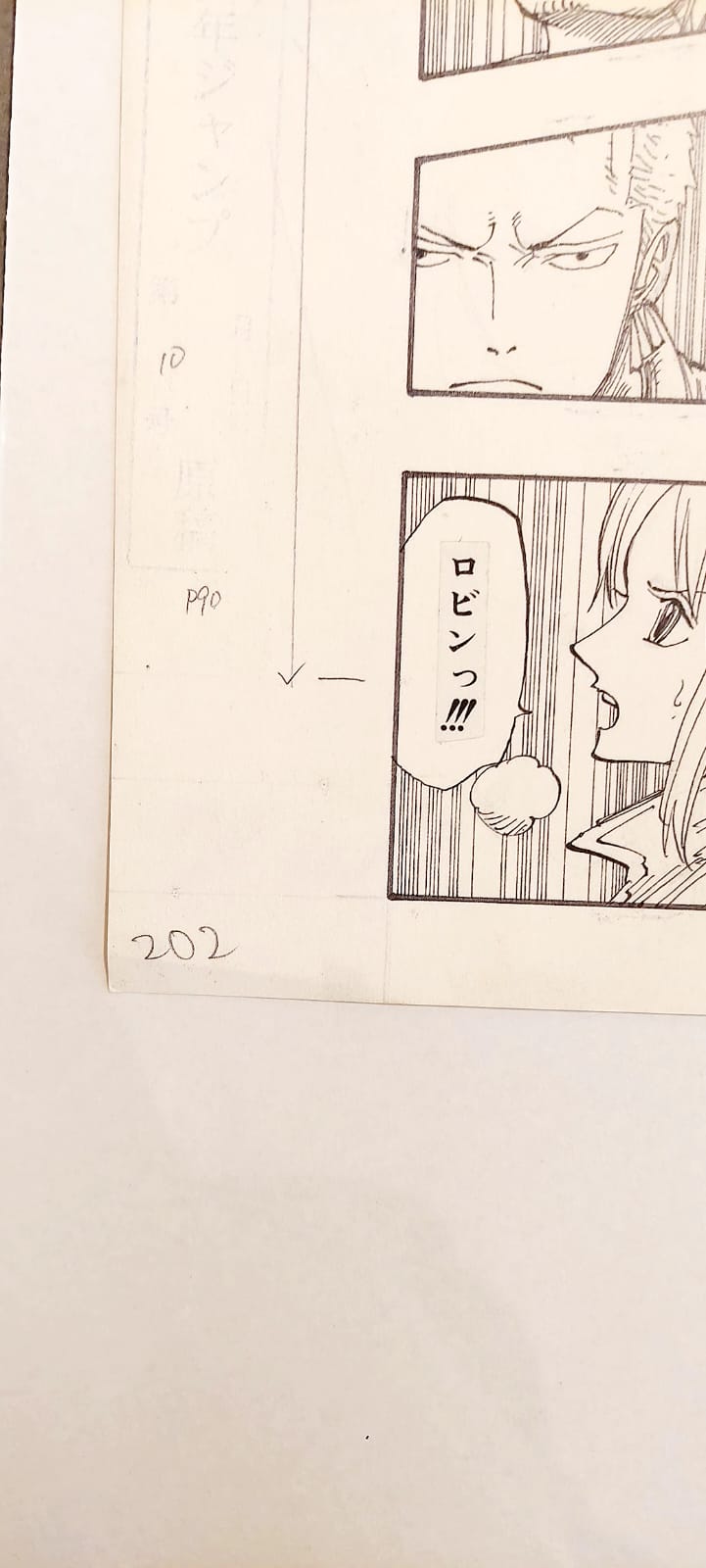 ONE PIECE Numbered Lottery Won Limited Reproduction (Luffy, Robin & other crew members))