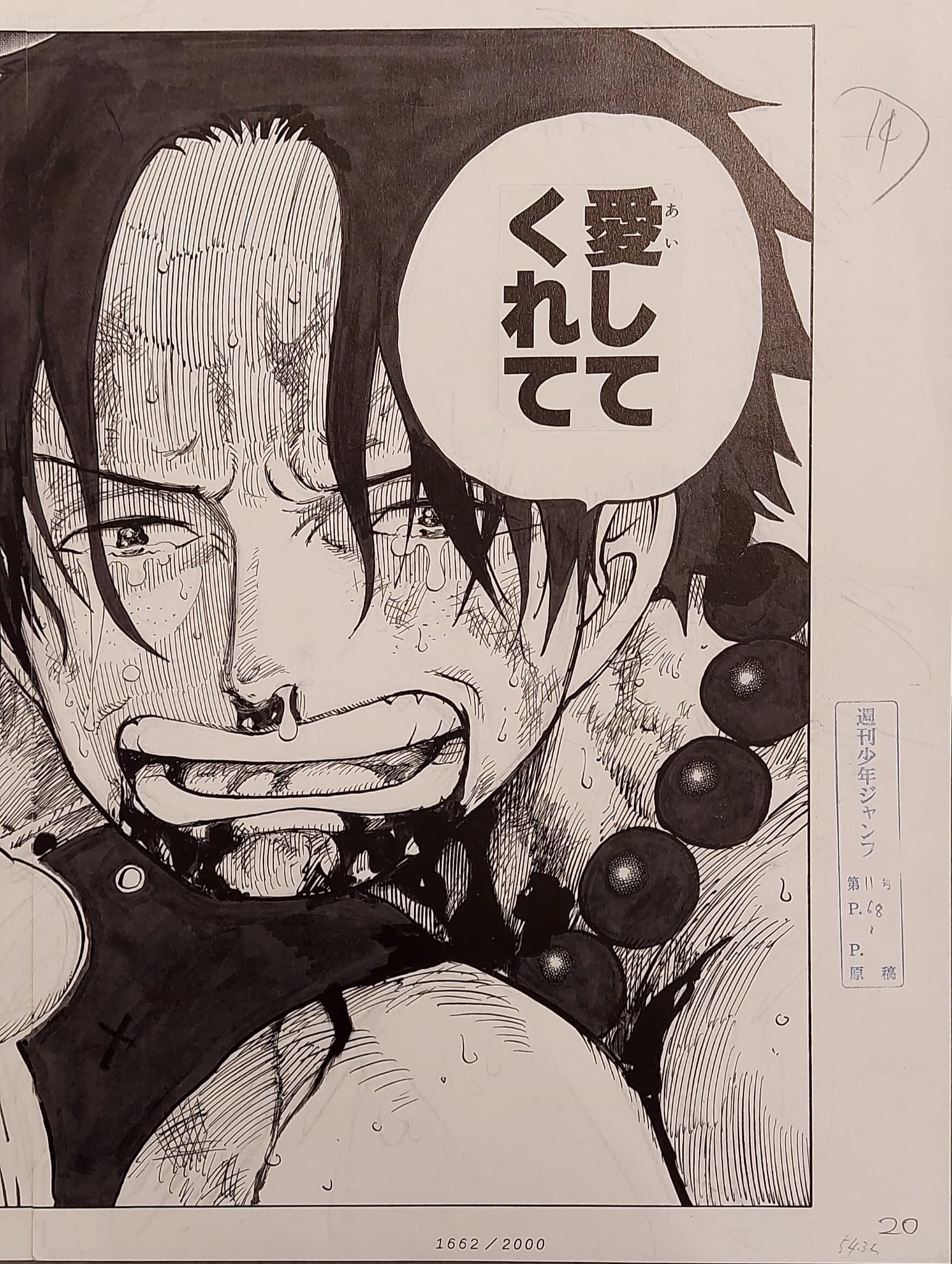 ONE PIECE Numbered Lottery Won Limited Reproduction (Ace Death)