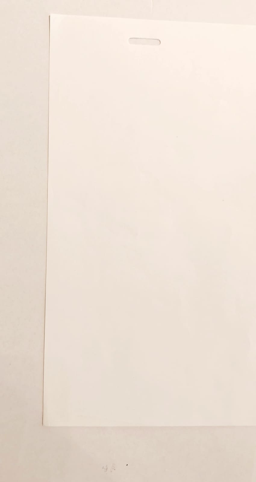 Naruto Original Drawing (Rock Lee)