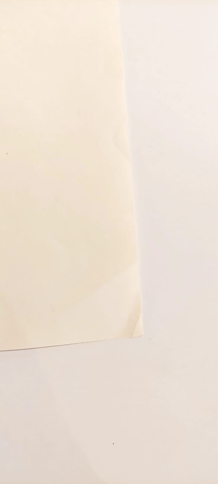 Candy Candy Original Drawing (Candice White)