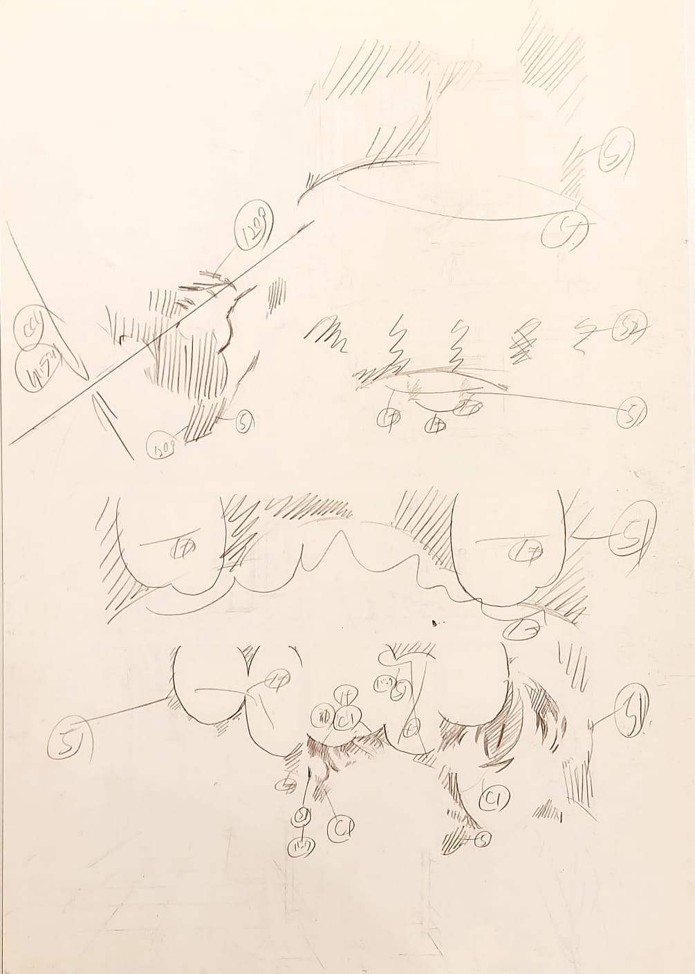 Detective Conan Limited Reproduction (Conan, Ai, Ayumi, Mitsuhiko, Genta)