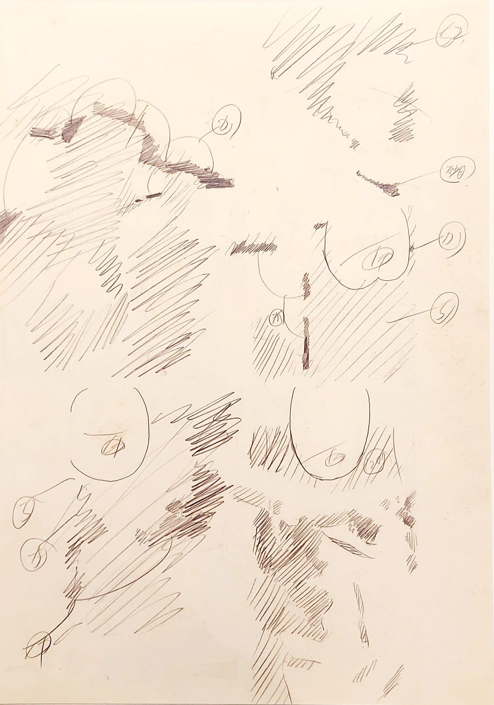 Detective Conan Limited Reproduction (Conan, Ai, Dr. Agasa, Gin)