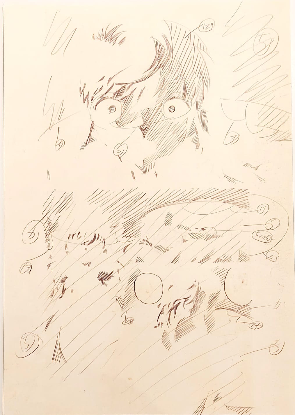 Detective Conan Limited Reproduction (Ai Haibara)